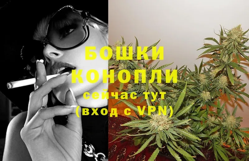 Шишки марихуана OG Kush  магазин  наркотиков  Павловский Посад 